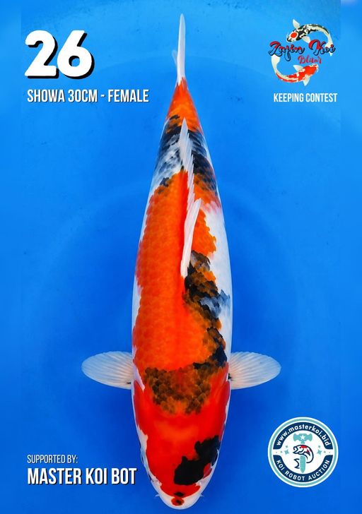 Lelang Koi Online, Jual Beli Ikan Koi, Pusat Jual Beli Koi, Info Lelang Koi Hari Ini, Platform Jual Beli Koi, Jual Beli Ikan Koi Online, Marketplace Ikan Koi, Jual Koi Terbaik, Tempat Beli Koi Berkualitas, Pasar Ikan Koi Online Terpercaya, Penjual Ikan Koi Terpercaya, Beli Koi Hias Online, Ikan Koi untuk Dijual, Koi Kualitas Terbaik, Toko Online Ikan Koi, Koi Hias Untuk Dijual, Jual Beli Ikan Koi Lokal, Koi Indonesia Online, Pusat Jual Beli Koi Terbesar