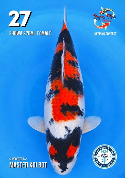 Lelang Koi Online, Jual Beli Ikan Koi, Pusat Jual Beli Koi, Info Lelang Koi Hari Ini, Platform Jual Beli Koi, Jual Beli Ikan Koi Online, Marketplace Ikan Koi, Jual Koi Terbaik, Tempat Beli Koi Berkualitas, Pasar Ikan Koi Online Terpercaya, Penjual Ikan Koi Terpercaya, Beli Koi Hias Online, Ikan Koi untuk Dijual, Koi Kualitas Terbaik, Toko Online Ikan Koi, Koi Hias Untuk Dijual, Jual Beli Ikan Koi Lokal, Koi Indonesia Online, Pusat Jual Beli Koi Terbesar