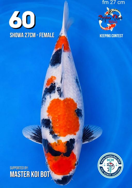 Lelang Koi Online, Jual Beli Ikan Koi, Pusat Jual Beli Koi, Info Lelang Koi Hari Ini, Platform Jual Beli Koi, Jual Beli Ikan Koi Online, Marketplace Ikan Koi, Jual Koi Terbaik, Tempat Beli Koi Berkualitas, Pasar Ikan Koi Online Terpercaya, Penjual Ikan Koi Terpercaya, Beli Koi Hias Online, Ikan Koi untuk Dijual, Koi Kualitas Terbaik, Toko Online Ikan Koi, Koi Hias Untuk Dijual, Jual Beli Ikan Koi Lokal, Koi Indonesia Online, Pusat Jual Beli Koi Terbesar