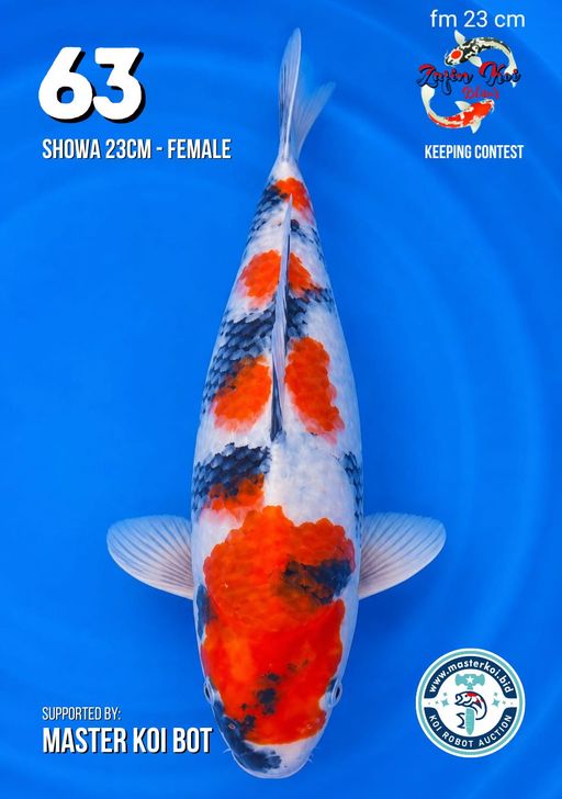 Lelang Koi Online, Jual Beli Ikan Koi, Pusat Jual Beli Koi, Info Lelang Koi Hari Ini, Platform Jual Beli Koi, Jual Beli Ikan Koi Online, Marketplace Ikan Koi, Jual Koi Terbaik, Tempat Beli Koi Berkualitas, Pasar Ikan Koi Online Terpercaya, Penjual Ikan Koi Terpercaya, Beli Koi Hias Online, Ikan Koi untuk Dijual, Koi Kualitas Terbaik, Toko Online Ikan Koi, Koi Hias Untuk Dijual, Jual Beli Ikan Koi Lokal, Koi Indonesia Online, Pusat Jual Beli Koi Terbesar