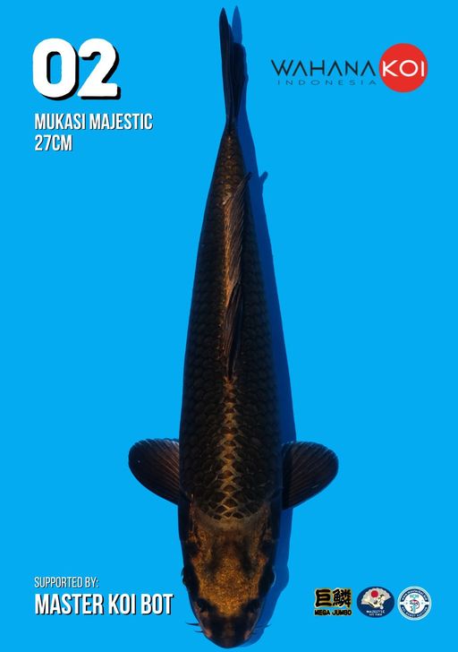 Lelang Koi Online, Jual Beli Ikan Koi, Pusat Jual Beli Koi, Info Lelang Koi Hari Ini, Platform Jual Beli Koi, Jual Beli Ikan Koi Online, Marketplace Ikan Koi, Jual Koi Terbaik, Tempat Beli Koi Berkualitas, Pasar Ikan Koi Online Terpercaya, Penjual Ikan Koi Terpercaya, Beli Koi Hias Online, Ikan Koi untuk Dijual, Koi Kualitas Terbaik, Toko Online Ikan Koi, Koi Hias Untuk Dijual, Jual Beli Ikan Koi Lokal, Koi Indonesia Online, Pusat Jual Beli Koi Terbesar