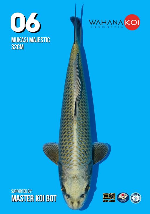 Lelang Koi Online, Jual Beli Ikan Koi, Pusat Jual Beli Koi, Info Lelang Koi Hari Ini, Platform Jual Beli Koi, Jual Beli Ikan Koi Online, Marketplace Ikan Koi, Jual Koi Terbaik, Tempat Beli Koi Berkualitas, Pasar Ikan Koi Online Terpercaya, Penjual Ikan Koi Terpercaya, Beli Koi Hias Online, Ikan Koi untuk Dijual, Koi Kualitas Terbaik, Toko Online Ikan Koi, Koi Hias Untuk Dijual, Jual Beli Ikan Koi Lokal, Koi Indonesia Online, Pusat Jual Beli Koi Terbesar