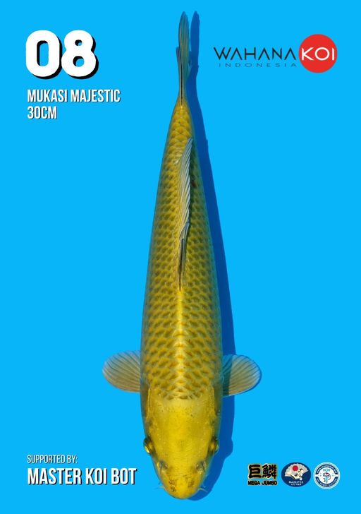 Lelang Koi Online, Jual Beli Ikan Koi, Pusat Jual Beli Koi, Info Lelang Koi Hari Ini, Platform Jual Beli Koi, Jual Beli Ikan Koi Online, Marketplace Ikan Koi, Jual Koi Terbaik, Tempat Beli Koi Berkualitas, Pasar Ikan Koi Online Terpercaya, Penjual Ikan Koi Terpercaya, Beli Koi Hias Online, Ikan Koi untuk Dijual, Koi Kualitas Terbaik, Toko Online Ikan Koi, Koi Hias Untuk Dijual, Jual Beli Ikan Koi Lokal, Koi Indonesia Online, Pusat Jual Beli Koi Terbesar
