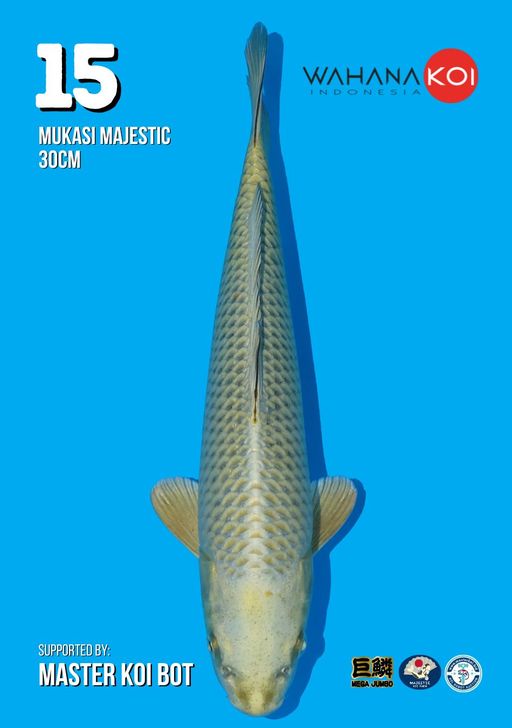 Lelang Koi Online, Jual Beli Ikan Koi, Pusat Jual Beli Koi, Info Lelang Koi Hari Ini, Platform Jual Beli Koi, Jual Beli Ikan Koi Online, Marketplace Ikan Koi, Jual Koi Terbaik, Tempat Beli Koi Berkualitas, Pasar Ikan Koi Online Terpercaya, Penjual Ikan Koi Terpercaya, Beli Koi Hias Online, Ikan Koi untuk Dijual, Koi Kualitas Terbaik, Toko Online Ikan Koi, Koi Hias Untuk Dijual, Jual Beli Ikan Koi Lokal, Koi Indonesia Online, Pusat Jual Beli Koi Terbesar