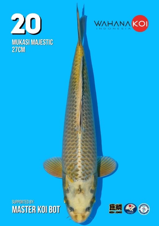Lelang Koi Online, Jual Beli Ikan Koi, Pusat Jual Beli Koi, Info Lelang Koi Hari Ini, Platform Jual Beli Koi, Jual Beli Ikan Koi Online, Marketplace Ikan Koi, Jual Koi Terbaik, Tempat Beli Koi Berkualitas, Pasar Ikan Koi Online Terpercaya, Penjual Ikan Koi Terpercaya, Beli Koi Hias Online, Ikan Koi untuk Dijual, Koi Kualitas Terbaik, Toko Online Ikan Koi, Koi Hias Untuk Dijual, Jual Beli Ikan Koi Lokal, Koi Indonesia Online, Pusat Jual Beli Koi Terbesar