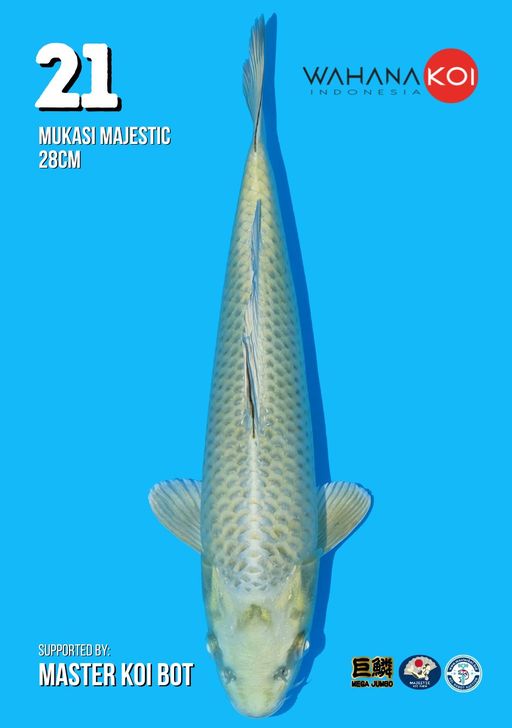 Lelang Koi Online, Jual Beli Ikan Koi, Pusat Jual Beli Koi, Info Lelang Koi Hari Ini, Platform Jual Beli Koi, Jual Beli Ikan Koi Online, Marketplace Ikan Koi, Jual Koi Terbaik, Tempat Beli Koi Berkualitas, Pasar Ikan Koi Online Terpercaya, Penjual Ikan Koi Terpercaya, Beli Koi Hias Online, Ikan Koi untuk Dijual, Koi Kualitas Terbaik, Toko Online Ikan Koi, Koi Hias Untuk Dijual, Jual Beli Ikan Koi Lokal, Koi Indonesia Online, Pusat Jual Beli Koi Terbesar