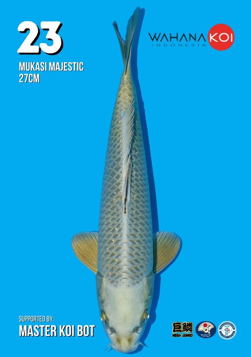 Lelang Koi Online, Jual Beli Ikan Koi, Pusat Jual Beli Koi, Info Lelang Koi Hari Ini, Platform Jual Beli Koi, Jual Beli Ikan Koi Online, Marketplace Ikan Koi, Jual Koi Terbaik, Tempat Beli Koi Berkualitas, Pasar Ikan Koi Online Terpercaya, Penjual Ikan Koi Terpercaya, Beli Koi Hias Online, Ikan Koi untuk Dijual, Koi Kualitas Terbaik, Toko Online Ikan Koi, Koi Hias Untuk Dijual, Jual Beli Ikan Koi Lokal, Koi Indonesia Online, Pusat Jual Beli Koi Terbesar