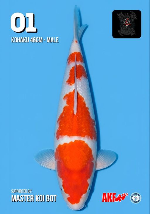 Lelang Koi Online, Jual Beli Ikan Koi, Pusat Jual Beli Koi, Info Lelang Koi Hari Ini, Platform Jual Beli Koi, Jual Beli Ikan Koi Online, Marketplace Ikan Koi, Jual Koi Terbaik, Tempat Beli Koi Berkualitas, Pasar Ikan Koi Online Terpercaya, Penjual Ikan Koi Terpercaya, Beli Koi Hias Online, Ikan Koi untuk Dijual, Koi Kualitas Terbaik, Toko Online Ikan Koi, Koi Hias Untuk Dijual, Jual Beli Ikan Koi Lokal, Koi Indonesia Online, Pusat Jual Beli Koi Terbesar