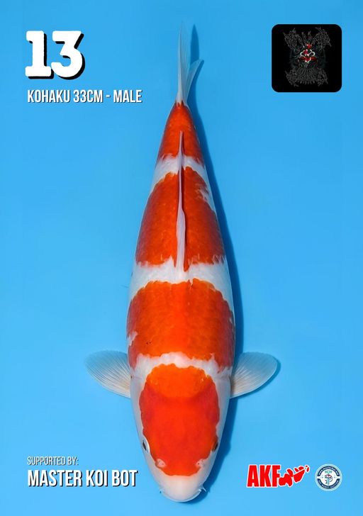 Lelang Koi Online, Jual Beli Ikan Koi, Pusat Jual Beli Koi, Info Lelang Koi Hari Ini, Platform Jual Beli Koi, Jual Beli Ikan Koi Online, Marketplace Ikan Koi, Jual Koi Terbaik, Tempat Beli Koi Berkualitas, Pasar Ikan Koi Online Terpercaya, Penjual Ikan Koi Terpercaya, Beli Koi Hias Online, Ikan Koi untuk Dijual, Koi Kualitas Terbaik, Toko Online Ikan Koi, Koi Hias Untuk Dijual, Jual Beli Ikan Koi Lokal, Koi Indonesia Online, Pusat Jual Beli Koi Terbesar