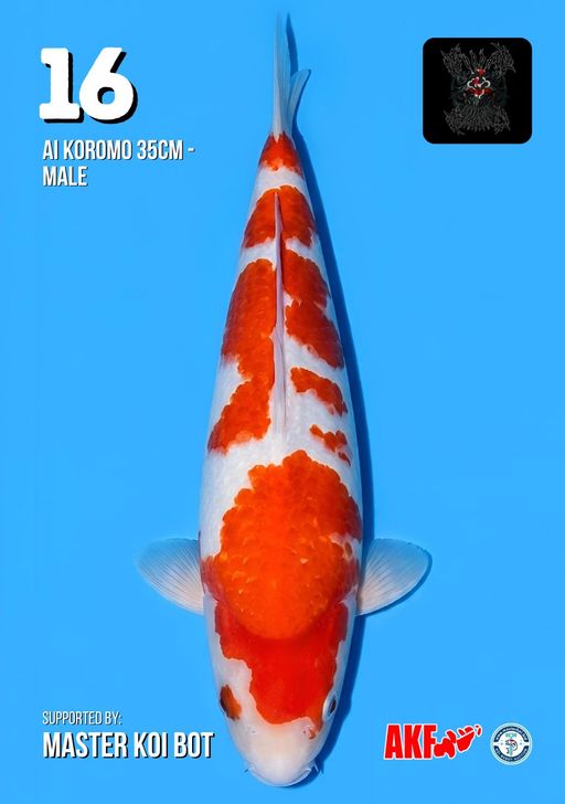 Lelang Koi Online, Jual Beli Ikan Koi, Pusat Jual Beli Koi, Info Lelang Koi Hari Ini, Platform Jual Beli Koi, Jual Beli Ikan Koi Online, Marketplace Ikan Koi, Jual Koi Terbaik, Tempat Beli Koi Berkualitas, Pasar Ikan Koi Online Terpercaya, Penjual Ikan Koi Terpercaya, Beli Koi Hias Online, Ikan Koi untuk Dijual, Koi Kualitas Terbaik, Toko Online Ikan Koi, Koi Hias Untuk Dijual, Jual Beli Ikan Koi Lokal, Koi Indonesia Online, Pusat Jual Beli Koi Terbesar