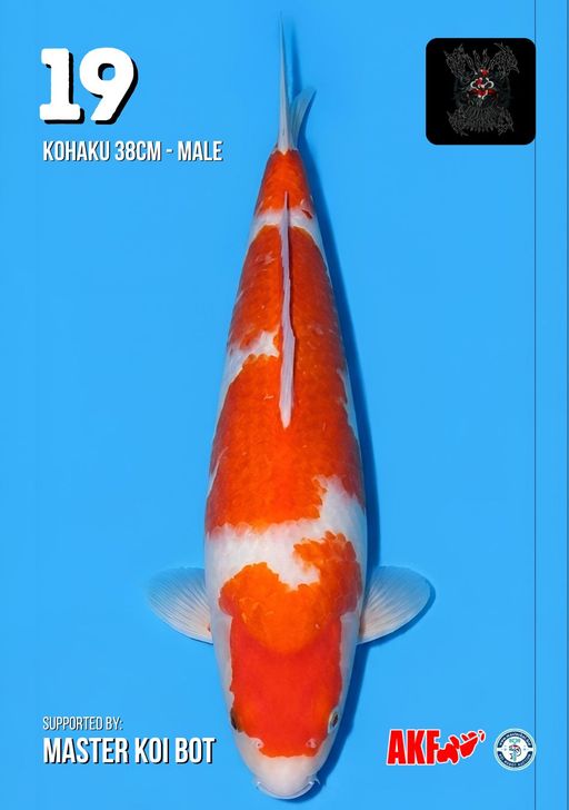 Lelang Koi Online, Jual Beli Ikan Koi, Pusat Jual Beli Koi, Info Lelang Koi Hari Ini, Platform Jual Beli Koi, Jual Beli Ikan Koi Online, Marketplace Ikan Koi, Jual Koi Terbaik, Tempat Beli Koi Berkualitas, Pasar Ikan Koi Online Terpercaya, Penjual Ikan Koi Terpercaya, Beli Koi Hias Online, Ikan Koi untuk Dijual, Koi Kualitas Terbaik, Toko Online Ikan Koi, Koi Hias Untuk Dijual, Jual Beli Ikan Koi Lokal, Koi Indonesia Online, Pusat Jual Beli Koi Terbesar