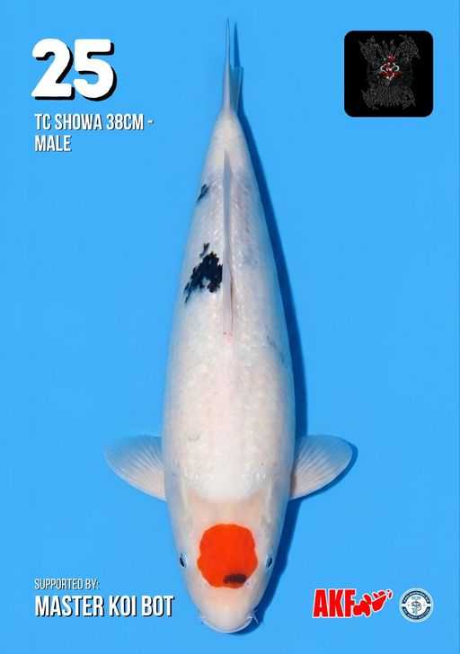 Lelang Koi Online, Jual Beli Ikan Koi, Pusat Jual Beli Koi, Info Lelang Koi Hari Ini, Platform Jual Beli Koi, Jual Beli Ikan Koi Online, Marketplace Ikan Koi, Jual Koi Terbaik, Tempat Beli Koi Berkualitas, Pasar Ikan Koi Online Terpercaya, Penjual Ikan Koi Terpercaya, Beli Koi Hias Online, Ikan Koi untuk Dijual, Koi Kualitas Terbaik, Toko Online Ikan Koi, Koi Hias Untuk Dijual, Jual Beli Ikan Koi Lokal, Koi Indonesia Online, Pusat Jual Beli Koi Terbesar