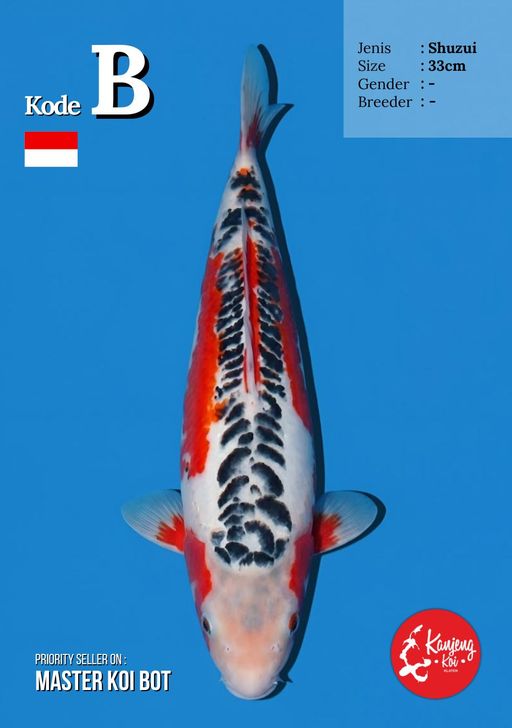 Lelang Koi Online, Jual Beli Ikan Koi, Pusat Jual Beli Koi, Info Lelang Koi Hari Ini, Platform Jual Beli Koi, Jual Beli Ikan Koi Online, Marketplace Ikan Koi, Jual Koi Terbaik, Tempat Beli Koi Berkualitas, Pasar Ikan Koi Online Terpercaya, Penjual Ikan Koi Terpercaya, Beli Koi Hias Online, Ikan Koi untuk Dijual, Koi Kualitas Terbaik, Toko Online Ikan Koi, Koi Hias Untuk Dijual, Jual Beli Ikan Koi Lokal, Koi Indonesia Online, Pusat Jual Beli Koi Terbesar