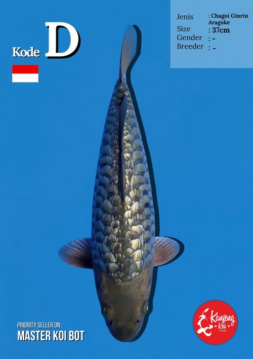 Lelang Koi Online, Jual Beli Ikan Koi, Pusat Jual Beli Koi, Info Lelang Koi Hari Ini, Platform Jual Beli Koi, Jual Beli Ikan Koi Online, Marketplace Ikan Koi, Jual Koi Terbaik, Tempat Beli Koi Berkualitas, Pasar Ikan Koi Online Terpercaya, Penjual Ikan Koi Terpercaya, Beli Koi Hias Online, Ikan Koi untuk Dijual, Koi Kualitas Terbaik, Toko Online Ikan Koi, Koi Hias Untuk Dijual, Jual Beli Ikan Koi Lokal, Koi Indonesia Online, Pusat Jual Beli Koi Terbesar