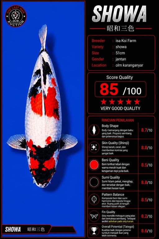 Lelang Koi Online, Jual Beli Ikan Koi, Pusat Jual Beli Koi, Info Lelang Koi Hari Ini, Platform Jual Beli Koi, Jual Beli Ikan Koi Online, Marketplace Ikan Koi, Jual Koi Terbaik, Tempat Beli Koi Berkualitas, Pasar Ikan Koi Online Terpercaya, Penjual Ikan Koi Terpercaya, Beli Koi Hias Online, Ikan Koi untuk Dijual, Koi Kualitas Terbaik, Toko Online Ikan Koi, Koi Hias Untuk Dijual, Jual Beli Ikan Koi Lokal, Koi Indonesia Online, Pusat Jual Beli Koi Terbesar