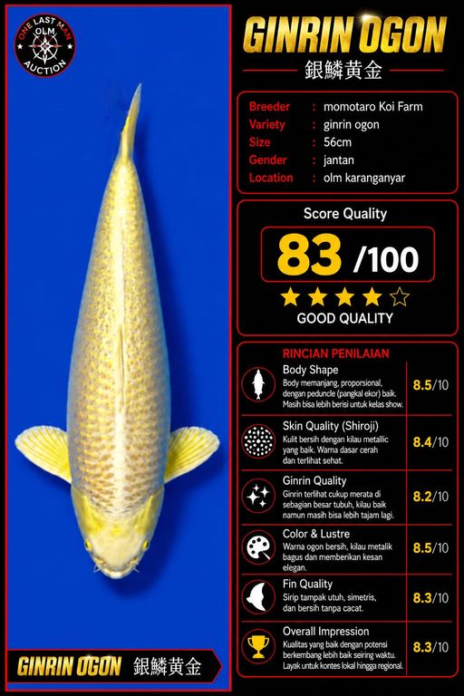 Lelang Koi Online, Jual Beli Ikan Koi, Pusat Jual Beli Koi, Info Lelang Koi Hari Ini, Platform Jual Beli Koi, Jual Beli Ikan Koi Online, Marketplace Ikan Koi, Jual Koi Terbaik, Tempat Beli Koi Berkualitas, Pasar Ikan Koi Online Terpercaya, Penjual Ikan Koi Terpercaya, Beli Koi Hias Online, Ikan Koi untuk Dijual, Koi Kualitas Terbaik, Toko Online Ikan Koi, Koi Hias Untuk Dijual, Jual Beli Ikan Koi Lokal, Koi Indonesia Online, Pusat Jual Beli Koi Terbesar