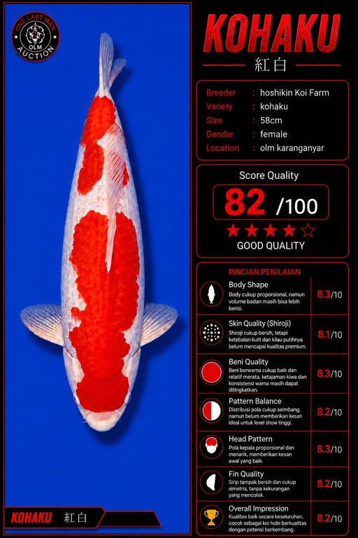 Lelang Koi Online, Jual Beli Ikan Koi, Pusat Jual Beli Koi, Info Lelang Koi Hari Ini, Platform Jual Beli Koi, Jual Beli Ikan Koi Online, Marketplace Ikan Koi, Jual Koi Terbaik, Tempat Beli Koi Berkualitas, Pasar Ikan Koi Online Terpercaya, Penjual Ikan Koi Terpercaya, Beli Koi Hias Online, Ikan Koi untuk Dijual, Koi Kualitas Terbaik, Toko Online Ikan Koi, Koi Hias Untuk Dijual, Jual Beli Ikan Koi Lokal, Koi Indonesia Online, Pusat Jual Beli Koi Terbesar