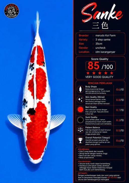 Lelang Koi Online, Jual Beli Ikan Koi, Pusat Jual Beli Koi, Info Lelang Koi Hari Ini, Platform Jual Beli Koi, Jual Beli Ikan Koi Online, Marketplace Ikan Koi, Jual Koi Terbaik, Tempat Beli Koi Berkualitas, Pasar Ikan Koi Online Terpercaya, Penjual Ikan Koi Terpercaya, Beli Koi Hias Online, Ikan Koi untuk Dijual, Koi Kualitas Terbaik, Toko Online Ikan Koi, Koi Hias Untuk Dijual, Jual Beli Ikan Koi Lokal, Koi Indonesia Online, Pusat Jual Beli Koi Terbesar