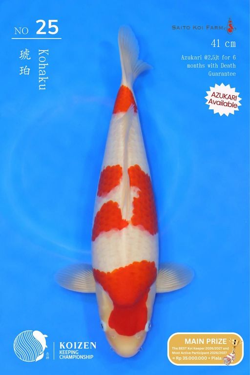 Lelang Koi Online, Jual Beli Ikan Koi, Pusat Jual Beli Koi, Info Lelang Koi Hari Ini, Platform Jual Beli Koi, Jual Beli Ikan Koi Online, Marketplace Ikan Koi, Jual Koi Terbaik, Tempat Beli Koi Berkualitas, Pasar Ikan Koi Online Terpercaya, Penjual Ikan Koi Terpercaya, Beli Koi Hias Online, Ikan Koi untuk Dijual, Koi Kualitas Terbaik, Toko Online Ikan Koi, Koi Hias Untuk Dijual, Jual Beli Ikan Koi Lokal, Koi Indonesia Online, Pusat Jual Beli Koi Terbesar