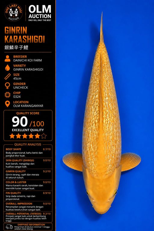 Lelang Koi Online, Jual Beli Ikan Koi, Pusat Jual Beli Koi, Info Lelang Koi Hari Ini, Platform Jual Beli Koi, Jual Beli Ikan Koi Online, Marketplace Ikan Koi, Jual Koi Terbaik, Tempat Beli Koi Berkualitas, Pasar Ikan Koi Online Terpercaya, Penjual Ikan Koi Terpercaya, Beli Koi Hias Online, Ikan Koi untuk Dijual, Koi Kualitas Terbaik, Toko Online Ikan Koi, Koi Hias Untuk Dijual, Jual Beli Ikan Koi Lokal, Koi Indonesia Online, Pusat Jual Beli Koi Terbesar