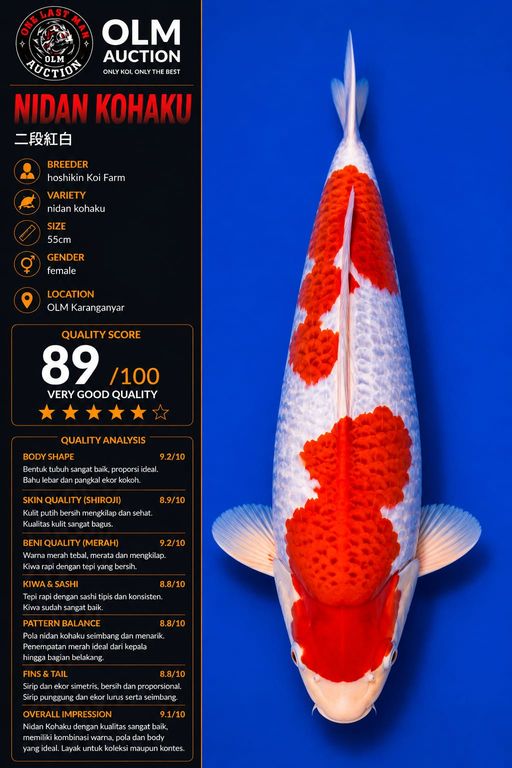 Lelang Koi Online, Jual Beli Ikan Koi, Pusat Jual Beli Koi, Info Lelang Koi Hari Ini, Platform Jual Beli Koi, Jual Beli Ikan Koi Online, Marketplace Ikan Koi, Jual Koi Terbaik, Tempat Beli Koi Berkualitas, Pasar Ikan Koi Online Terpercaya, Penjual Ikan Koi Terpercaya, Beli Koi Hias Online, Ikan Koi untuk Dijual, Koi Kualitas Terbaik, Toko Online Ikan Koi, Koi Hias Untuk Dijual, Jual Beli Ikan Koi Lokal, Koi Indonesia Online, Pusat Jual Beli Koi Terbesar