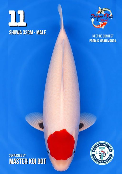 Lelang Koi Online, Jual Beli Ikan Koi, Pusat Jual Beli Koi, Info Lelang Koi Hari Ini, Platform Jual Beli Koi, Jual Beli Ikan Koi Online, Marketplace Ikan Koi, Jual Koi Terbaik, Tempat Beli Koi Berkualitas, Pasar Ikan Koi Online Terpercaya, Penjual Ikan Koi Terpercaya, Beli Koi Hias Online, Ikan Koi untuk Dijual, Koi Kualitas Terbaik, Toko Online Ikan Koi, Koi Hias Untuk Dijual, Jual Beli Ikan Koi Lokal, Koi Indonesia Online, Pusat Jual Beli Koi Terbesar