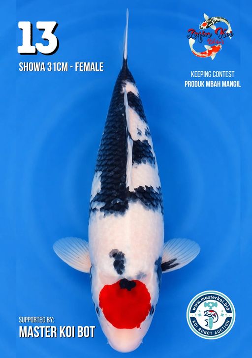 Lelang Koi Online, Jual Beli Ikan Koi, Pusat Jual Beli Koi, Info Lelang Koi Hari Ini, Platform Jual Beli Koi, Jual Beli Ikan Koi Online, Marketplace Ikan Koi, Jual Koi Terbaik, Tempat Beli Koi Berkualitas, Pasar Ikan Koi Online Terpercaya, Penjual Ikan Koi Terpercaya, Beli Koi Hias Online, Ikan Koi untuk Dijual, Koi Kualitas Terbaik, Toko Online Ikan Koi, Koi Hias Untuk Dijual, Jual Beli Ikan Koi Lokal, Koi Indonesia Online, Pusat Jual Beli Koi Terbesar