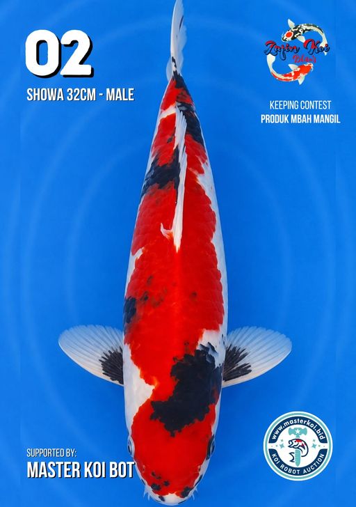 Lelang Koi Online, Jual Beli Ikan Koi, Pusat Jual Beli Koi, Info Lelang Koi Hari Ini, Platform Jual Beli Koi, Jual Beli Ikan Koi Online, Marketplace Ikan Koi, Jual Koi Terbaik, Tempat Beli Koi Berkualitas, Pasar Ikan Koi Online Terpercaya, Penjual Ikan Koi Terpercaya, Beli Koi Hias Online, Ikan Koi untuk Dijual, Koi Kualitas Terbaik, Toko Online Ikan Koi, Koi Hias Untuk Dijual, Jual Beli Ikan Koi Lokal, Koi Indonesia Online, Pusat Jual Beli Koi Terbesar
