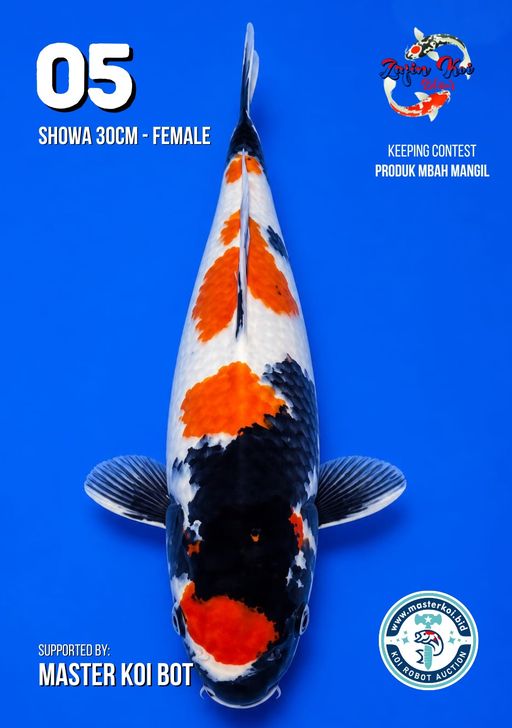 Lelang Koi Online, Jual Beli Ikan Koi, Pusat Jual Beli Koi, Info Lelang Koi Hari Ini, Platform Jual Beli Koi, Jual Beli Ikan Koi Online, Marketplace Ikan Koi, Jual Koi Terbaik, Tempat Beli Koi Berkualitas, Pasar Ikan Koi Online Terpercaya, Penjual Ikan Koi Terpercaya, Beli Koi Hias Online, Ikan Koi untuk Dijual, Koi Kualitas Terbaik, Toko Online Ikan Koi, Koi Hias Untuk Dijual, Jual Beli Ikan Koi Lokal, Koi Indonesia Online, Pusat Jual Beli Koi Terbesar