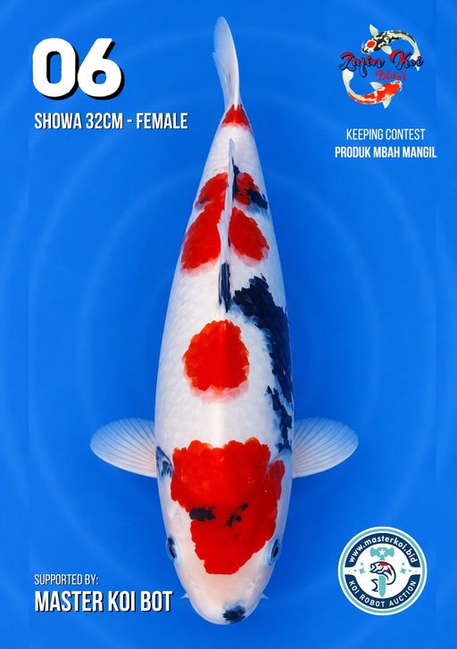 Lelang Koi Online, Jual Beli Ikan Koi, Pusat Jual Beli Koi, Info Lelang Koi Hari Ini, Platform Jual Beli Koi, Jual Beli Ikan Koi Online, Marketplace Ikan Koi, Jual Koi Terbaik, Tempat Beli Koi Berkualitas, Pasar Ikan Koi Online Terpercaya, Penjual Ikan Koi Terpercaya, Beli Koi Hias Online, Ikan Koi untuk Dijual, Koi Kualitas Terbaik, Toko Online Ikan Koi, Koi Hias Untuk Dijual, Jual Beli Ikan Koi Lokal, Koi Indonesia Online, Pusat Jual Beli Koi Terbesar