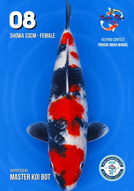 Lelang Koi Online, Jual Beli Ikan Koi, Pusat Jual Beli Koi, Info Lelang Koi Hari Ini, Platform Jual Beli Koi, Jual Beli Ikan Koi Online, Marketplace Ikan Koi, Jual Koi Terbaik, Tempat Beli Koi Berkualitas, Pasar Ikan Koi Online Terpercaya, Penjual Ikan Koi Terpercaya, Beli Koi Hias Online, Ikan Koi untuk Dijual, Koi Kualitas Terbaik, Toko Online Ikan Koi, Koi Hias Untuk Dijual, Jual Beli Ikan Koi Lokal, Koi Indonesia Online, Pusat Jual Beli Koi Terbesar