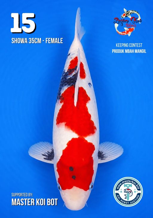 Lelang Koi Online, Jual Beli Ikan Koi, Pusat Jual Beli Koi, Info Lelang Koi Hari Ini, Platform Jual Beli Koi, Jual Beli Ikan Koi Online, Marketplace Ikan Koi, Jual Koi Terbaik, Tempat Beli Koi Berkualitas, Pasar Ikan Koi Online Terpercaya, Penjual Ikan Koi Terpercaya, Beli Koi Hias Online, Ikan Koi untuk Dijual, Koi Kualitas Terbaik, Toko Online Ikan Koi, Koi Hias Untuk Dijual, Jual Beli Ikan Koi Lokal, Koi Indonesia Online, Pusat Jual Beli Koi Terbesar