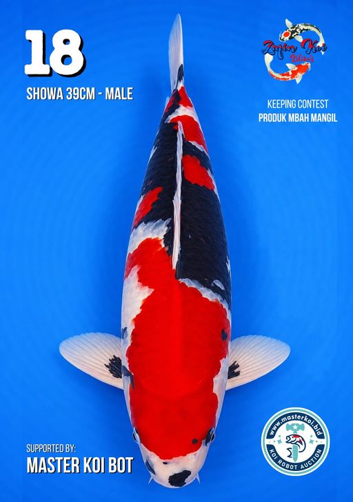 Lelang Koi Online, Jual Beli Ikan Koi, Pusat Jual Beli Koi, Info Lelang Koi Hari Ini, Platform Jual Beli Koi, Jual Beli Ikan Koi Online, Marketplace Ikan Koi, Jual Koi Terbaik, Tempat Beli Koi Berkualitas, Pasar Ikan Koi Online Terpercaya, Penjual Ikan Koi Terpercaya, Beli Koi Hias Online, Ikan Koi untuk Dijual, Koi Kualitas Terbaik, Toko Online Ikan Koi, Koi Hias Untuk Dijual, Jual Beli Ikan Koi Lokal, Koi Indonesia Online, Pusat Jual Beli Koi Terbesar