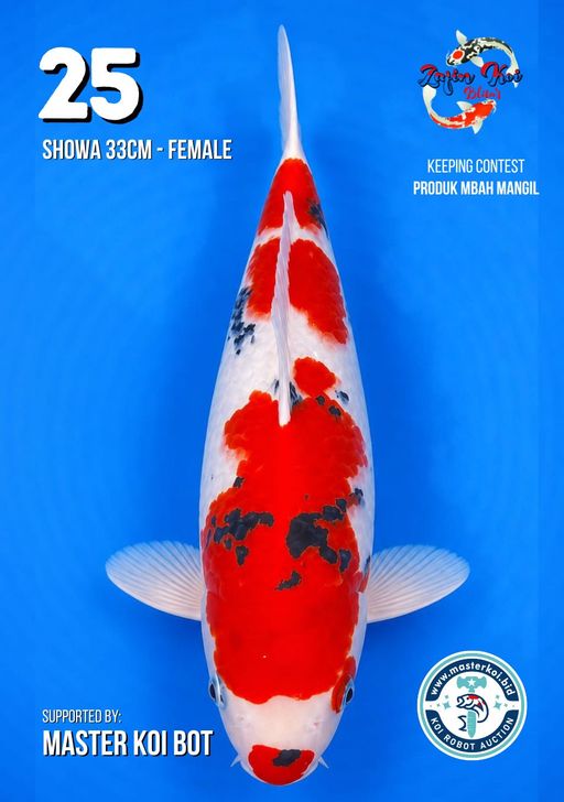 Lelang Koi Online, Jual Beli Ikan Koi, Pusat Jual Beli Koi, Info Lelang Koi Hari Ini, Platform Jual Beli Koi, Jual Beli Ikan Koi Online, Marketplace Ikan Koi, Jual Koi Terbaik, Tempat Beli Koi Berkualitas, Pasar Ikan Koi Online Terpercaya, Penjual Ikan Koi Terpercaya, Beli Koi Hias Online, Ikan Koi untuk Dijual, Koi Kualitas Terbaik, Toko Online Ikan Koi, Koi Hias Untuk Dijual, Jual Beli Ikan Koi Lokal, Koi Indonesia Online, Pusat Jual Beli Koi Terbesar