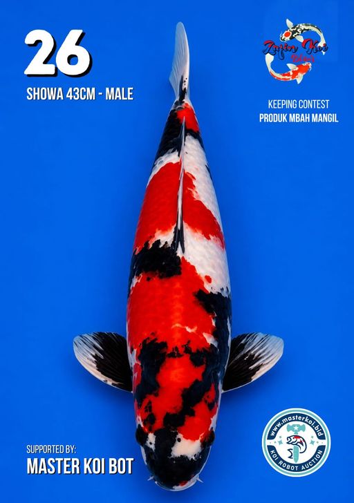 Lelang Koi Online, Jual Beli Ikan Koi, Pusat Jual Beli Koi, Info Lelang Koi Hari Ini, Platform Jual Beli Koi, Jual Beli Ikan Koi Online, Marketplace Ikan Koi, Jual Koi Terbaik, Tempat Beli Koi Berkualitas, Pasar Ikan Koi Online Terpercaya, Penjual Ikan Koi Terpercaya, Beli Koi Hias Online, Ikan Koi untuk Dijual, Koi Kualitas Terbaik, Toko Online Ikan Koi, Koi Hias Untuk Dijual, Jual Beli Ikan Koi Lokal, Koi Indonesia Online, Pusat Jual Beli Koi Terbesar