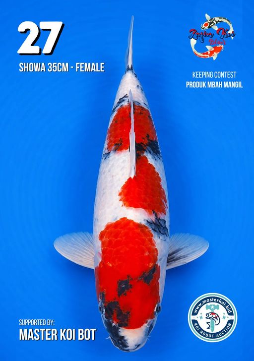 Lelang Koi Online, Jual Beli Ikan Koi, Pusat Jual Beli Koi, Info Lelang Koi Hari Ini, Platform Jual Beli Koi, Jual Beli Ikan Koi Online, Marketplace Ikan Koi, Jual Koi Terbaik, Tempat Beli Koi Berkualitas, Pasar Ikan Koi Online Terpercaya, Penjual Ikan Koi Terpercaya, Beli Koi Hias Online, Ikan Koi untuk Dijual, Koi Kualitas Terbaik, Toko Online Ikan Koi, Koi Hias Untuk Dijual, Jual Beli Ikan Koi Lokal, Koi Indonesia Online, Pusat Jual Beli Koi Terbesar
