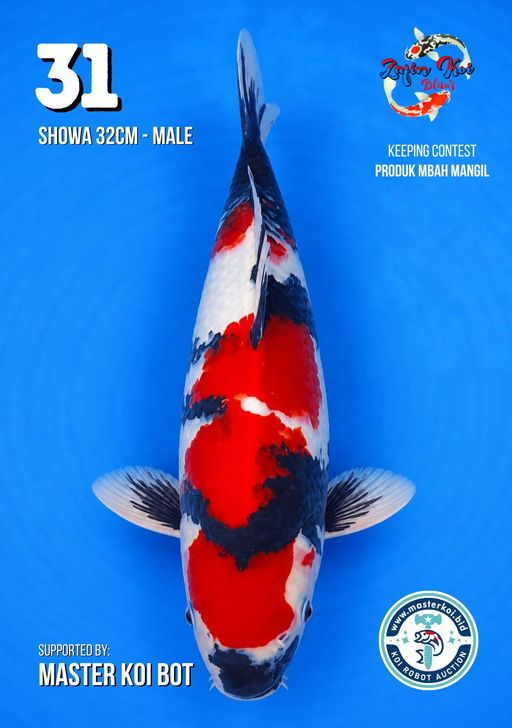 Lelang Koi Online, Jual Beli Ikan Koi, Pusat Jual Beli Koi, Info Lelang Koi Hari Ini, Platform Jual Beli Koi, Jual Beli Ikan Koi Online, Marketplace Ikan Koi, Jual Koi Terbaik, Tempat Beli Koi Berkualitas, Pasar Ikan Koi Online Terpercaya, Penjual Ikan Koi Terpercaya, Beli Koi Hias Online, Ikan Koi untuk Dijual, Koi Kualitas Terbaik, Toko Online Ikan Koi, Koi Hias Untuk Dijual, Jual Beli Ikan Koi Lokal, Koi Indonesia Online, Pusat Jual Beli Koi Terbesar
