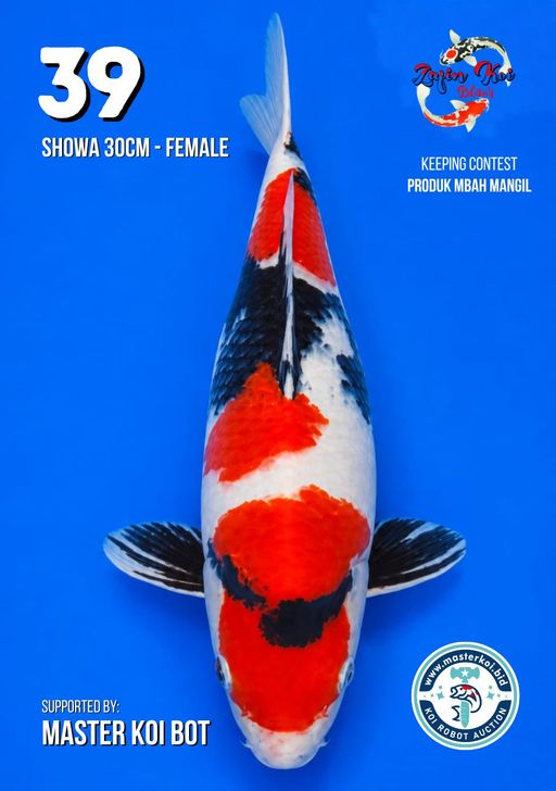 Lelang Koi Online, Jual Beli Ikan Koi, Pusat Jual Beli Koi, Info Lelang Koi Hari Ini, Platform Jual Beli Koi, Jual Beli Ikan Koi Online, Marketplace Ikan Koi, Jual Koi Terbaik, Tempat Beli Koi Berkualitas, Pasar Ikan Koi Online Terpercaya, Penjual Ikan Koi Terpercaya, Beli Koi Hias Online, Ikan Koi untuk Dijual, Koi Kualitas Terbaik, Toko Online Ikan Koi, Koi Hias Untuk Dijual, Jual Beli Ikan Koi Lokal, Koi Indonesia Online, Pusat Jual Beli Koi Terbesar