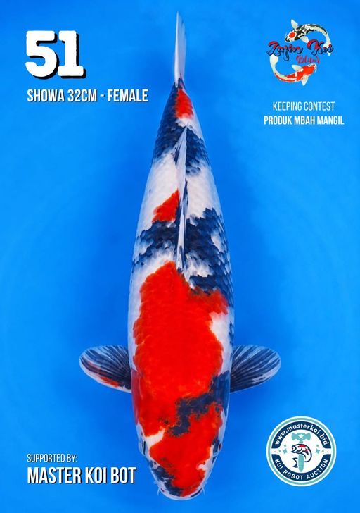 Lelang Koi Online, Jual Beli Ikan Koi, Pusat Jual Beli Koi, Info Lelang Koi Hari Ini, Platform Jual Beli Koi, Jual Beli Ikan Koi Online, Marketplace Ikan Koi, Jual Koi Terbaik, Tempat Beli Koi Berkualitas, Pasar Ikan Koi Online Terpercaya, Penjual Ikan Koi Terpercaya, Beli Koi Hias Online, Ikan Koi untuk Dijual, Koi Kualitas Terbaik, Toko Online Ikan Koi, Koi Hias Untuk Dijual, Jual Beli Ikan Koi Lokal, Koi Indonesia Online, Pusat Jual Beli Koi Terbesar