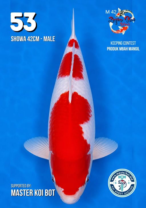 Lelang Koi Online, Jual Beli Ikan Koi, Pusat Jual Beli Koi, Info Lelang Koi Hari Ini, Platform Jual Beli Koi, Jual Beli Ikan Koi Online, Marketplace Ikan Koi, Jual Koi Terbaik, Tempat Beli Koi Berkualitas, Pasar Ikan Koi Online Terpercaya, Penjual Ikan Koi Terpercaya, Beli Koi Hias Online, Ikan Koi untuk Dijual, Koi Kualitas Terbaik, Toko Online Ikan Koi, Koi Hias Untuk Dijual, Jual Beli Ikan Koi Lokal, Koi Indonesia Online, Pusat Jual Beli Koi Terbesar