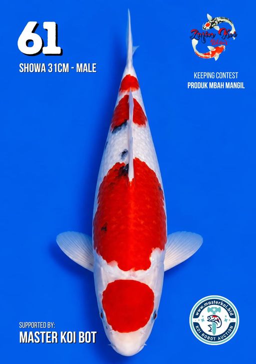 Lelang Koi Online, Jual Beli Ikan Koi, Pusat Jual Beli Koi, Info Lelang Koi Hari Ini, Platform Jual Beli Koi, Jual Beli Ikan Koi Online, Marketplace Ikan Koi, Jual Koi Terbaik, Tempat Beli Koi Berkualitas, Pasar Ikan Koi Online Terpercaya, Penjual Ikan Koi Terpercaya, Beli Koi Hias Online, Ikan Koi untuk Dijual, Koi Kualitas Terbaik, Toko Online Ikan Koi, Koi Hias Untuk Dijual, Jual Beli Ikan Koi Lokal, Koi Indonesia Online, Pusat Jual Beli Koi Terbesar