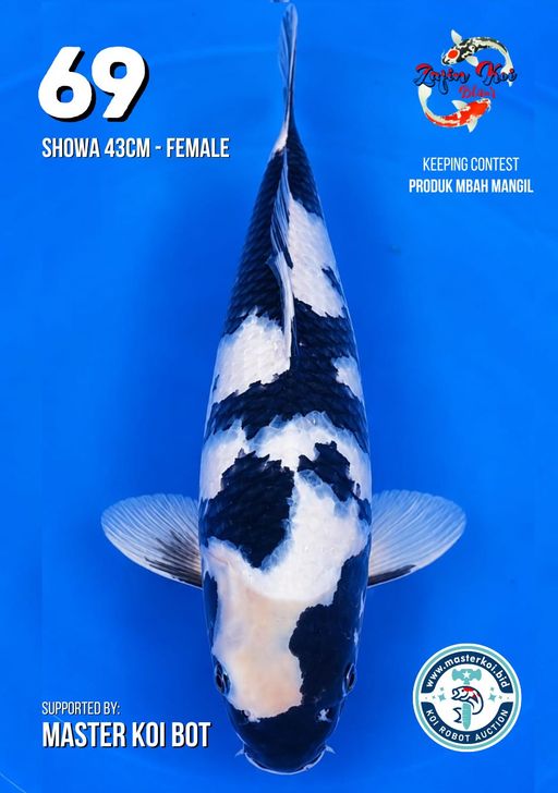 Lelang Koi Online, Jual Beli Ikan Koi, Pusat Jual Beli Koi, Info Lelang Koi Hari Ini, Platform Jual Beli Koi, Jual Beli Ikan Koi Online, Marketplace Ikan Koi, Jual Koi Terbaik, Tempat Beli Koi Berkualitas, Pasar Ikan Koi Online Terpercaya, Penjual Ikan Koi Terpercaya, Beli Koi Hias Online, Ikan Koi untuk Dijual, Koi Kualitas Terbaik, Toko Online Ikan Koi, Koi Hias Untuk Dijual, Jual Beli Ikan Koi Lokal, Koi Indonesia Online, Pusat Jual Beli Koi Terbesar