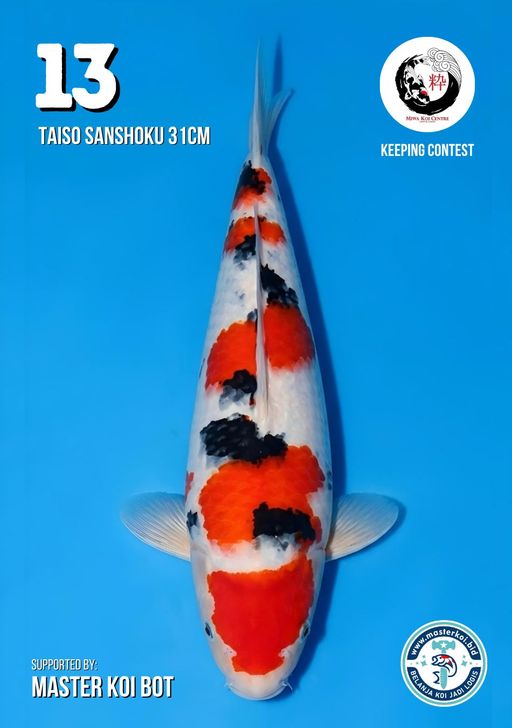 Lelang Koi Online, Jual Beli Ikan Koi, Pusat Jual Beli Koi, Info Lelang Koi Hari Ini, Platform Jual Beli Koi, Jual Beli Ikan Koi Online, Marketplace Ikan Koi, Jual Koi Terbaik, Tempat Beli Koi Berkualitas, Pasar Ikan Koi Online Terpercaya, Penjual Ikan Koi Terpercaya, Beli Koi Hias Online, Ikan Koi untuk Dijual, Koi Kualitas Terbaik, Toko Online Ikan Koi, Koi Hias Untuk Dijual, Jual Beli Ikan Koi Lokal, Koi Indonesia Online, Pusat Jual Beli Koi Terbesar