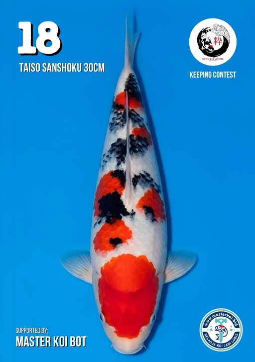 Lelang Koi Online, Jual Beli Ikan Koi, Pusat Jual Beli Koi, Info Lelang Koi Hari Ini, Platform Jual Beli Koi, Jual Beli Ikan Koi Online, Marketplace Ikan Koi, Jual Koi Terbaik, Tempat Beli Koi Berkualitas, Pasar Ikan Koi Online Terpercaya, Penjual Ikan Koi Terpercaya, Beli Koi Hias Online, Ikan Koi untuk Dijual, Koi Kualitas Terbaik, Toko Online Ikan Koi, Koi Hias Untuk Dijual, Jual Beli Ikan Koi Lokal, Koi Indonesia Online, Pusat Jual Beli Koi Terbesar