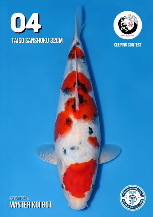 Lelang Koi Online, Jual Beli Ikan Koi, Pusat Jual Beli Koi, Info Lelang Koi Hari Ini, Platform Jual Beli Koi, Jual Beli Ikan Koi Online, Marketplace Ikan Koi, Jual Koi Terbaik, Tempat Beli Koi Berkualitas, Pasar Ikan Koi Online Terpercaya, Penjual Ikan Koi Terpercaya, Beli Koi Hias Online, Ikan Koi untuk Dijual, Koi Kualitas Terbaik, Toko Online Ikan Koi, Koi Hias Untuk Dijual, Jual Beli Ikan Koi Lokal, Koi Indonesia Online, Pusat Jual Beli Koi Terbesar
