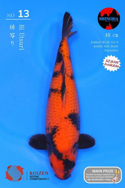 13. SQ JUMBO TOSAI S...