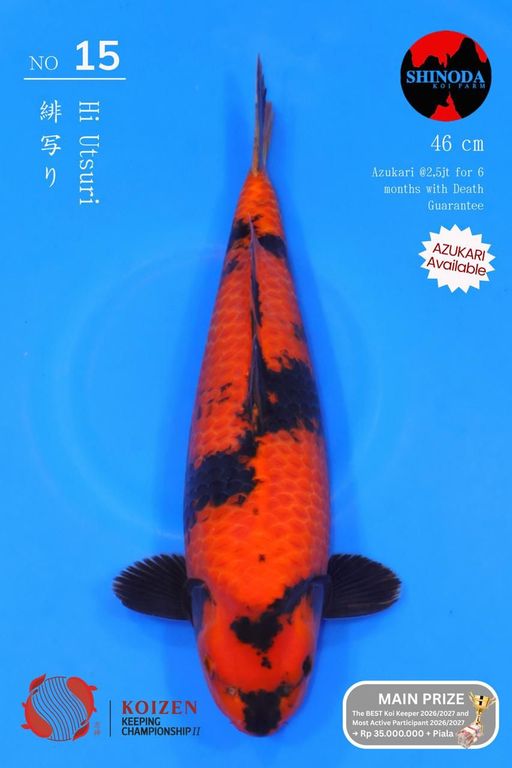 15. SQ JUMBO TOSAI S...