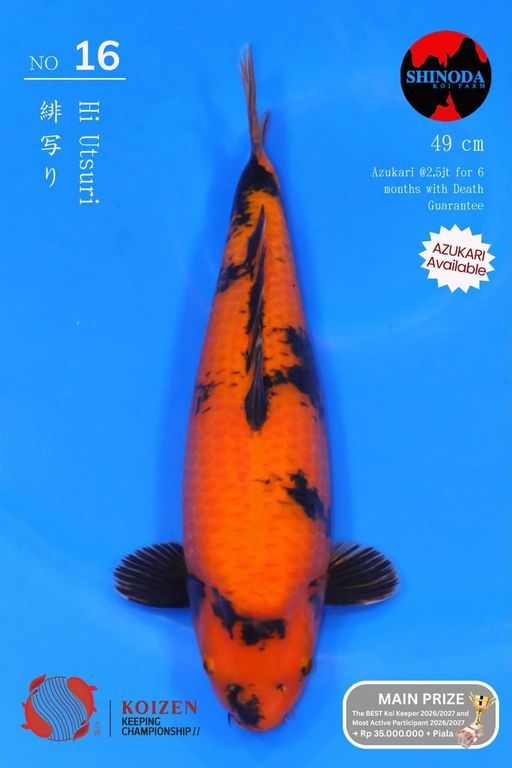 16. SQ JUMBO TOSAI S...