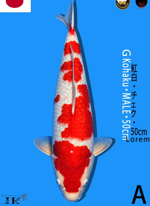 A. KOHAKU GINRIN 50c...