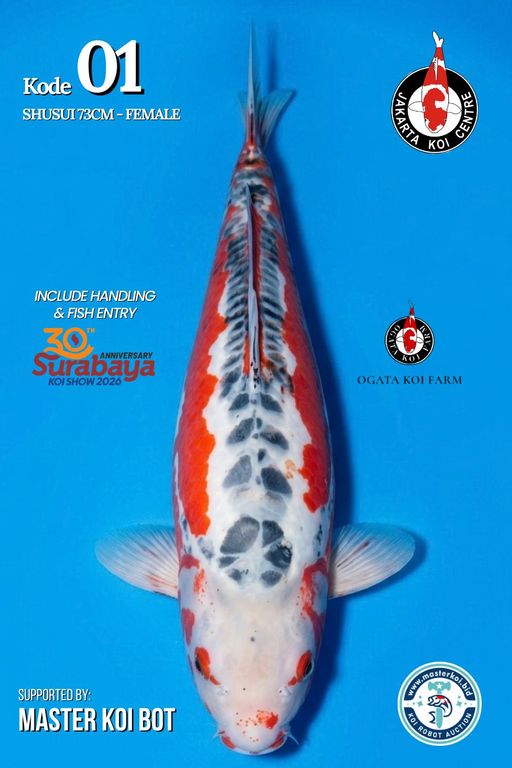Lelang Koi Online, Jual Beli Ikan Koi, Pusat Jual Beli Koi, Info Lelang Koi Hari Ini, Platform Jual Beli Koi, Jual Beli Ikan Koi Online, Marketplace Ikan Koi, Jual Koi Terbaik, Tempat Beli Koi Berkualitas, Pasar Ikan Koi Online Terpercaya, Penjual Ikan Koi Terpercaya, Beli Koi Hias Online, Ikan Koi untuk Dijual, Koi Kualitas Terbaik, Toko Online Ikan Koi, Koi Hias Untuk Dijual, Jual Beli Ikan Koi Lokal, Koi Indonesia Online, Pusat Jual Beli Koi Terbesar